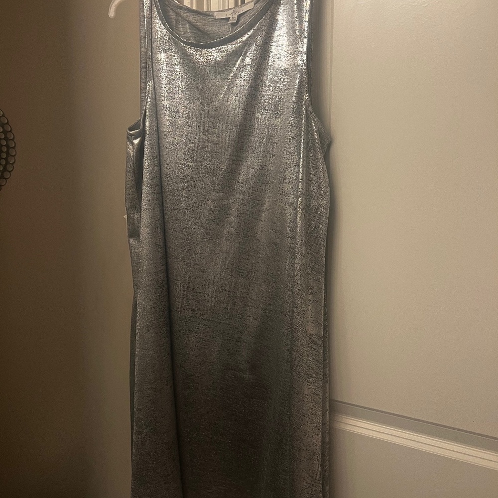 Silver dress